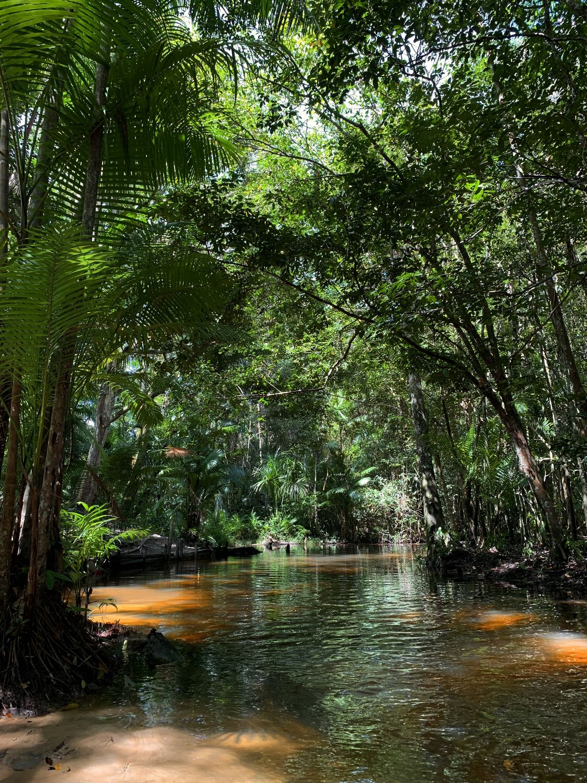 Amazonas (Leticia)
